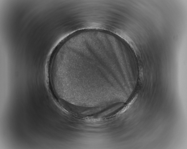 X0000093451120200711091507