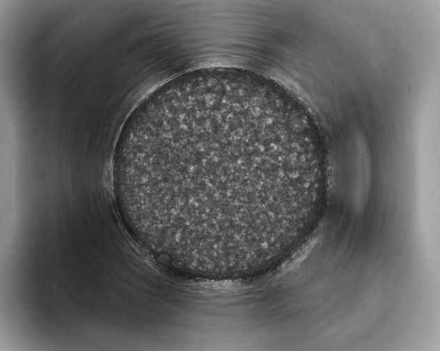 X0000093451121200711091507