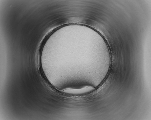 X0000093451123200711091507