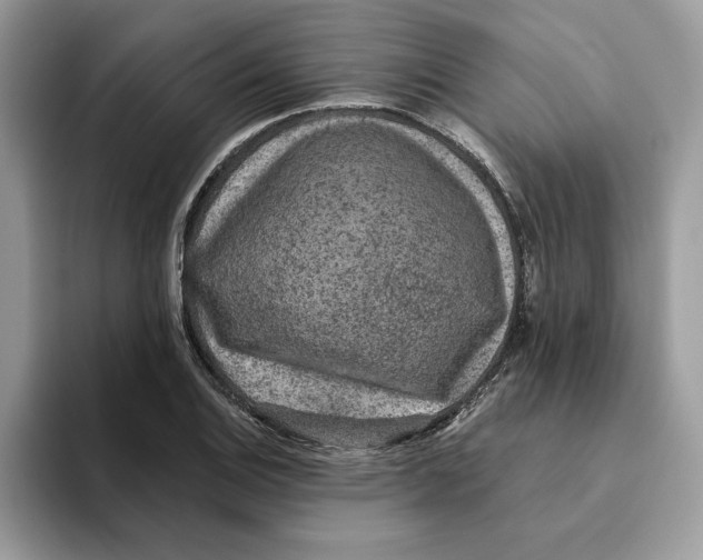 X0000093451124200711091507