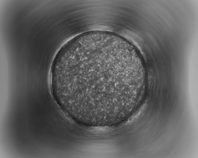 X0000093451125200711091507