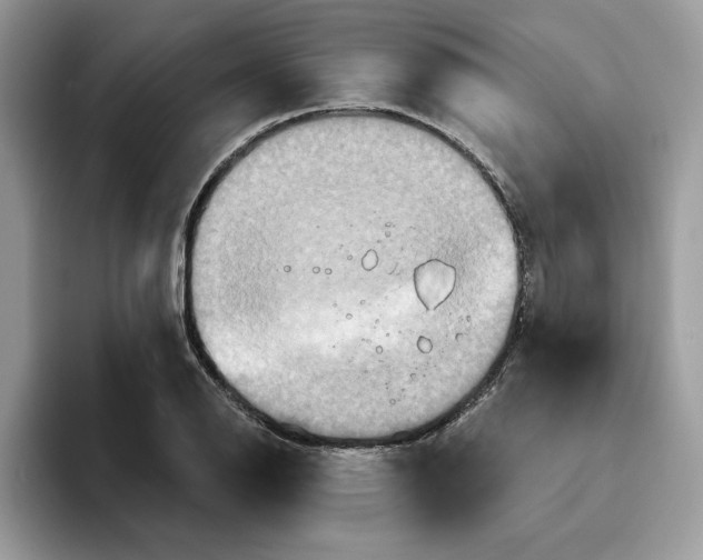 X0000093451126200711091507