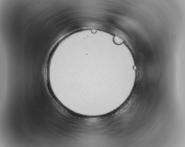 X0000093451130200711091507