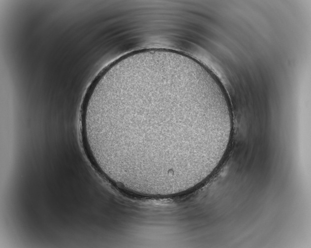 X0000093451133200711091507