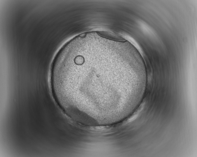 X0000093451149200711091508