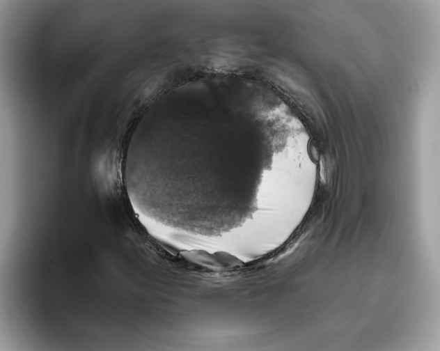 X0000093451155200711091507