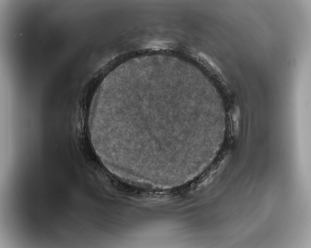 X0000093451158200711091507