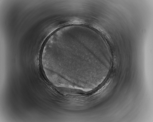 X0000093451170200711091507