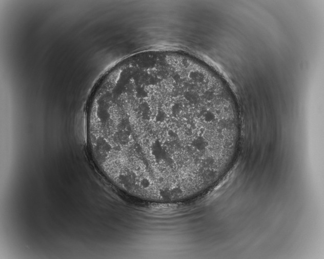 X0000093451171200711091507