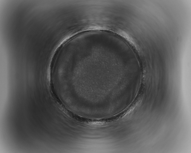 X0000093451173200711091507