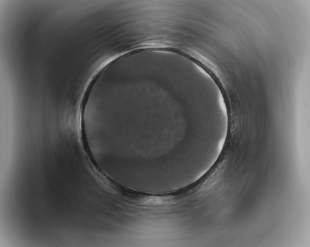 X0000093451179200711091507