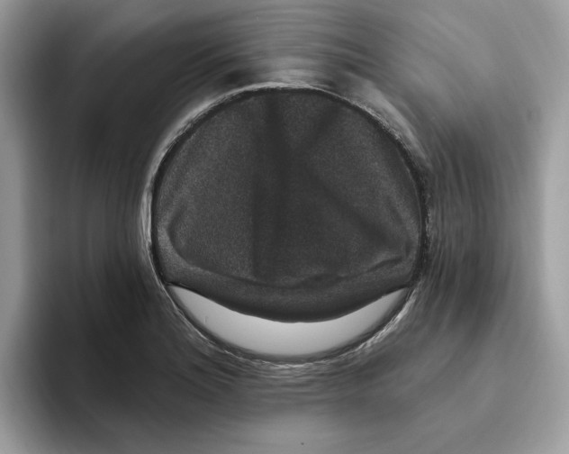 X0000093451180200711091507