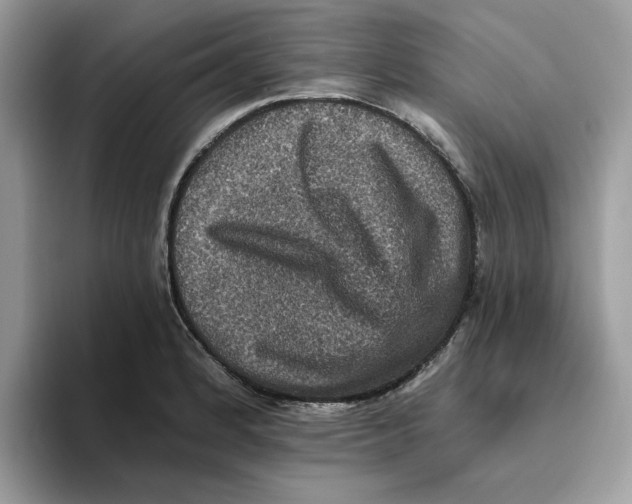 X0000093451184200711091507