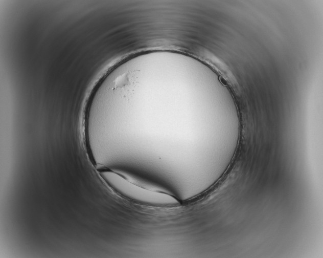 X0000093451188200711091507