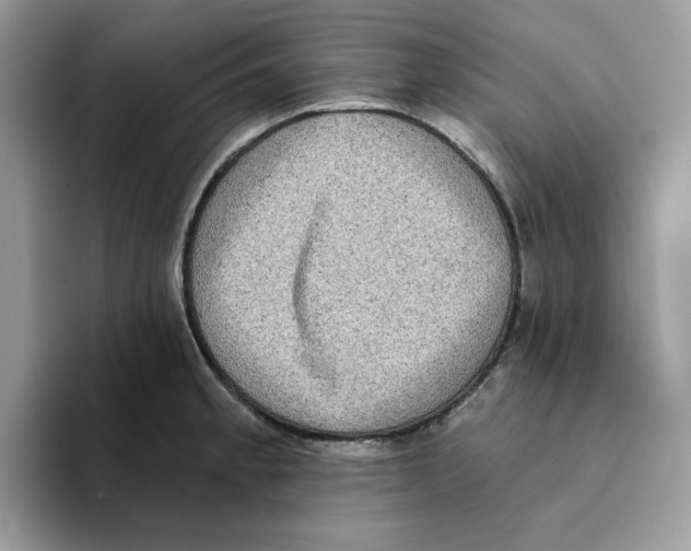 X0000093451189200711091507