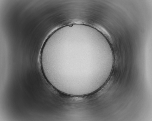 X0000093451190200711091507