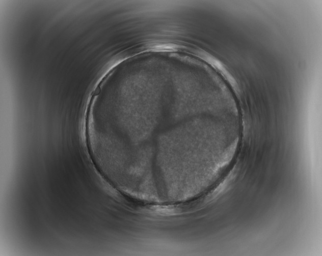 X0000093451194200711091507