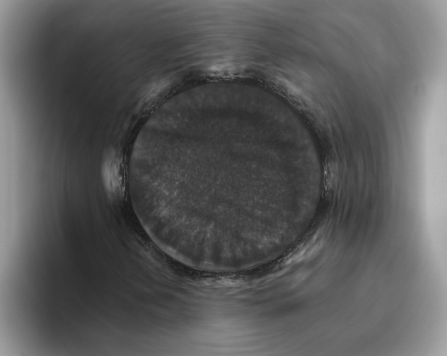 X0000093451202200711091506