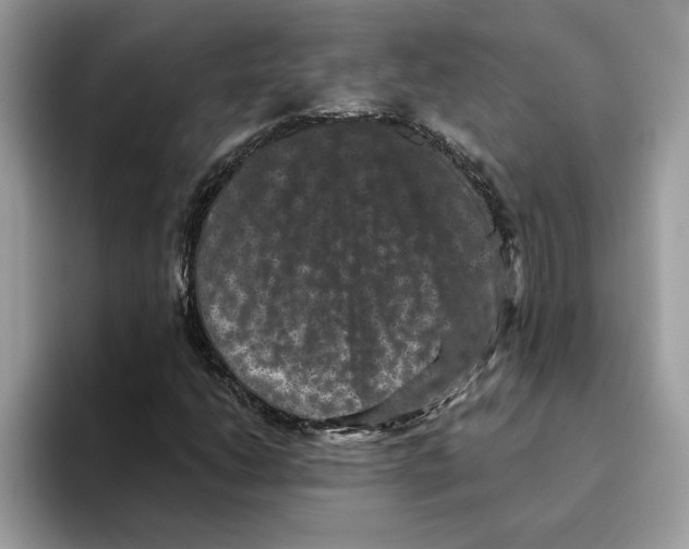 X0000093451206200711091506