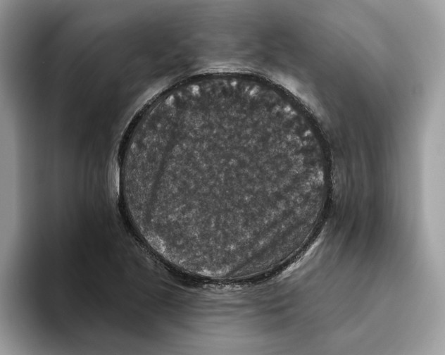 X0000093451221200711091506