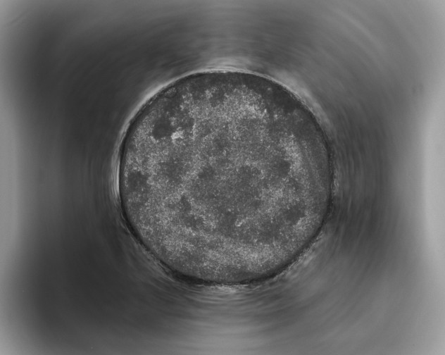 X0000093451224200711091506