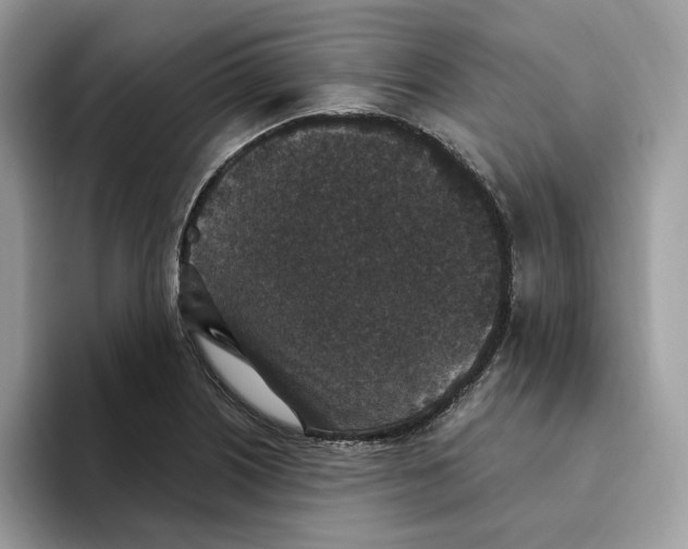 X0000093451226200711091506