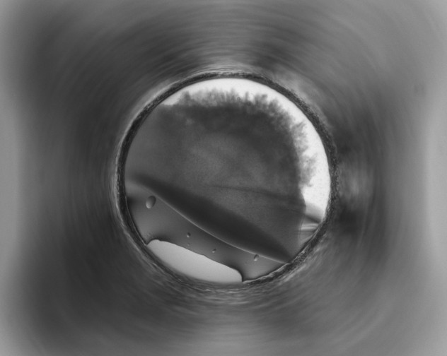 X0000093451229200711091506