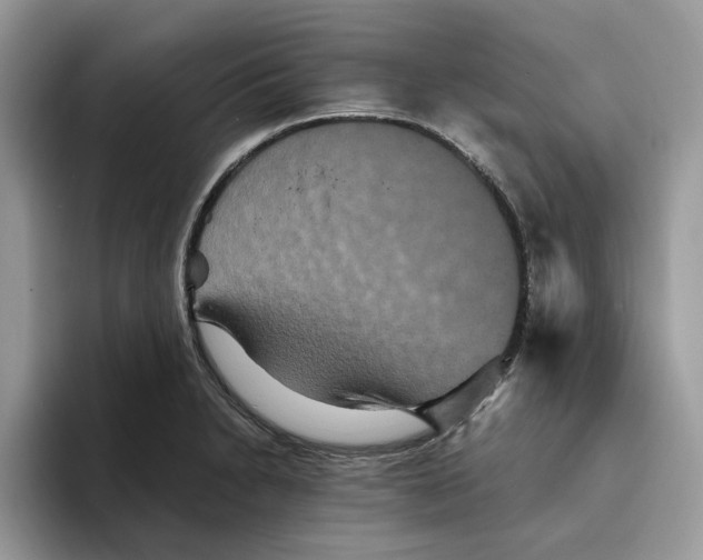 X0000093451230200711091506