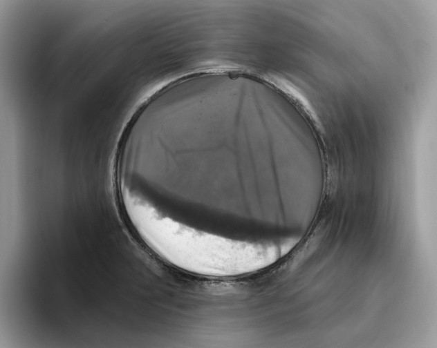 X0000093451231200711091506