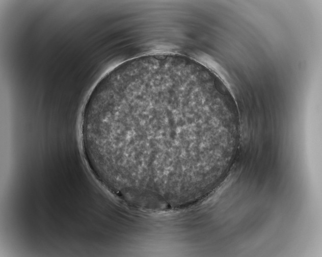 X0000093451235200711091506