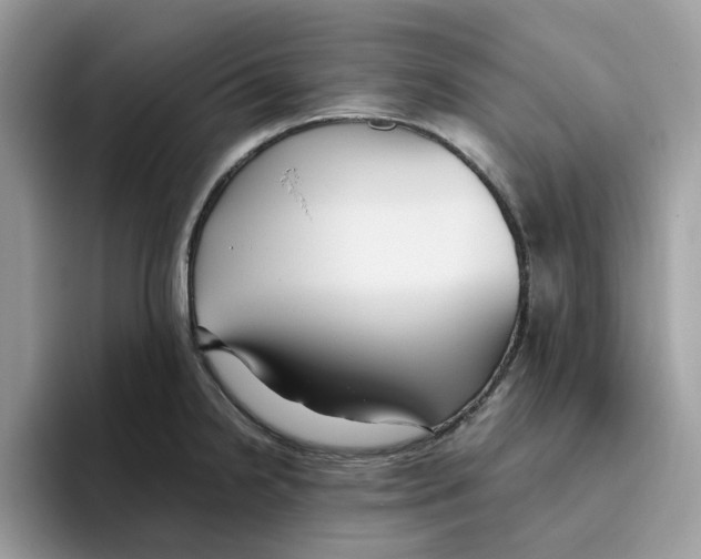 X0000093451238200711091506