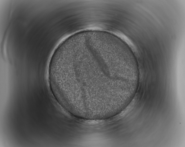 X0000093451240200711091506