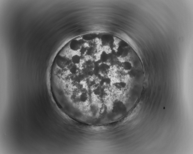 X0000093451243200711091507