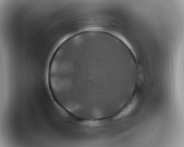 X0000093451245200711091507