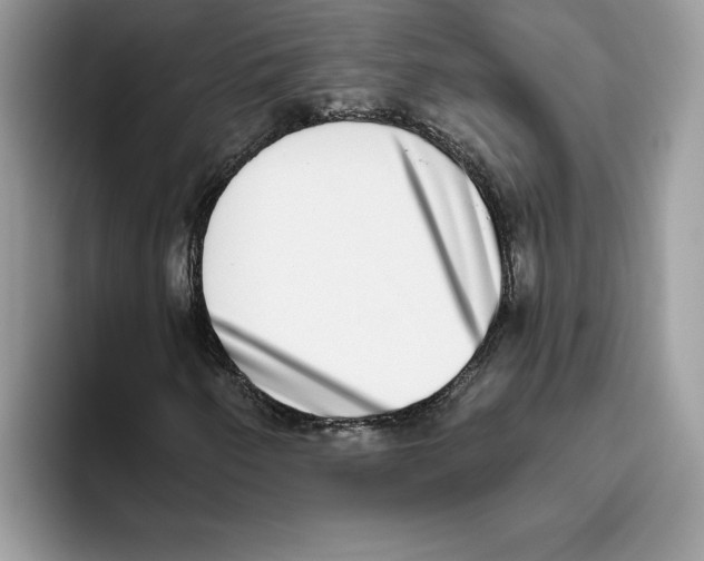 X0000093451250200711091506