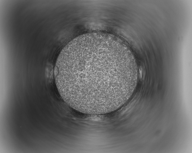 X0000093451251200711091506