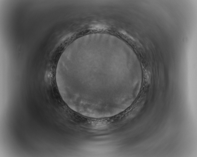 X0000093451254200711091506