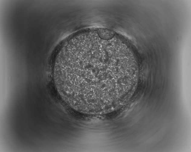 X0000093451255200711091506