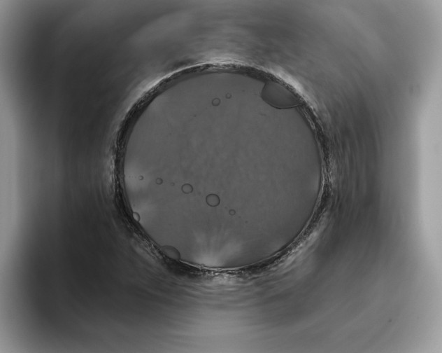 X0000093451263200711091506