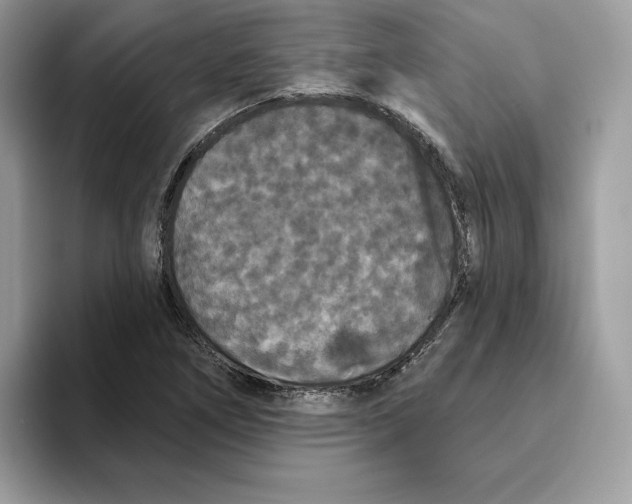 X0000093451266200711091506