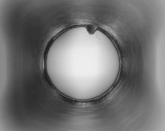 X0000093451269200711091506