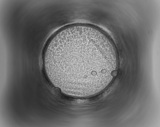 X0000093451271200711091506