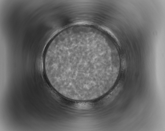 X0000093451274200711091506