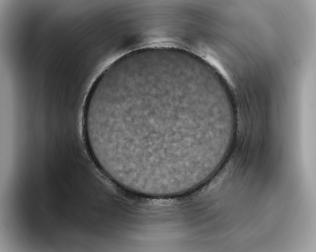 X0000093451277200711091506