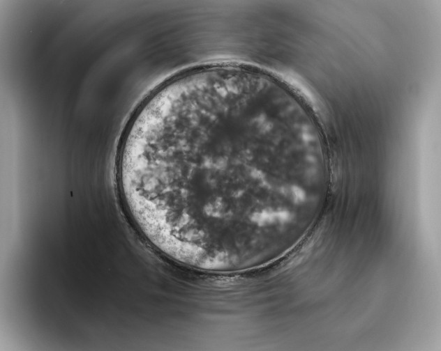 X0000093451279200711091506