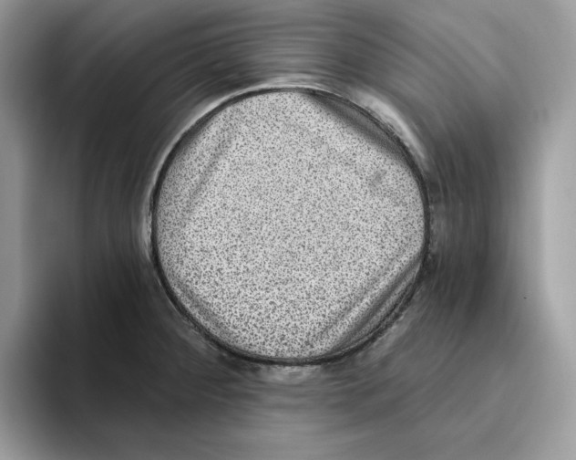 X0000093451284200711091506