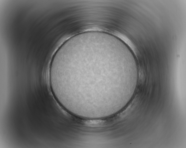 X0000093451290200711091506