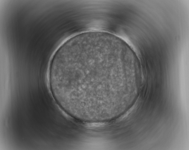 X0000093451294200711091505