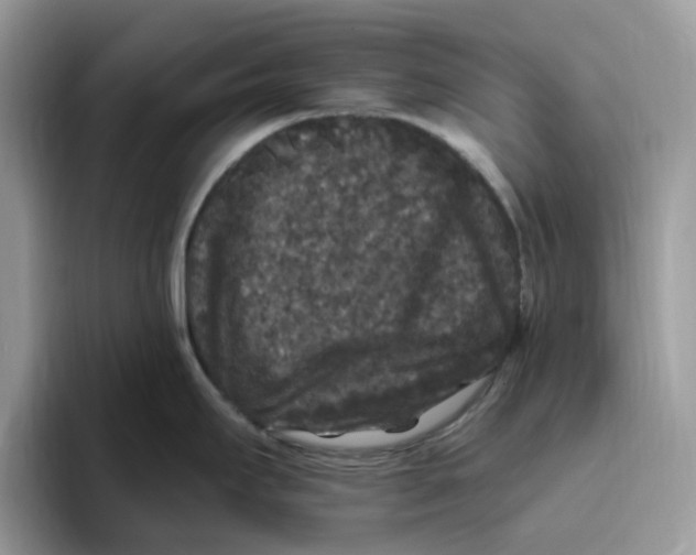 X0000093451295200711091505