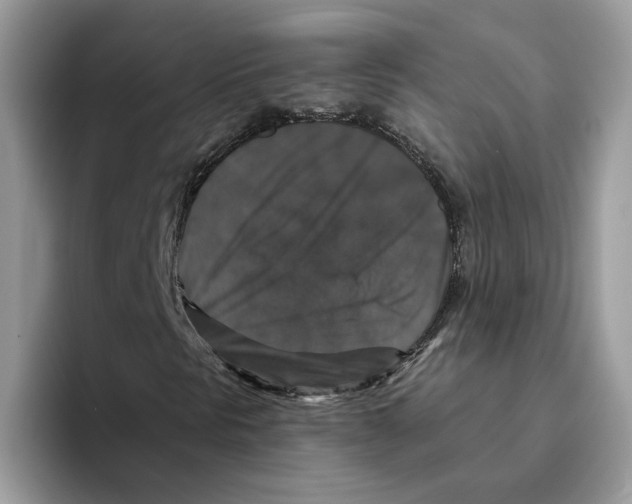 X0000093451297200711091505